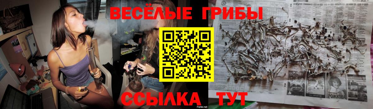 Осинники  Галлюциногенные грибы мухоморы  Вход с VPN  Галлюциногенные грибы мухоморы 